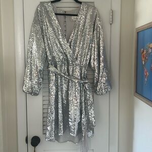 Silver sequence cinched waist dress.